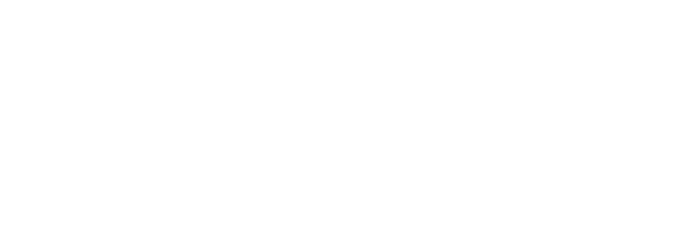 Reliance Aircraft International